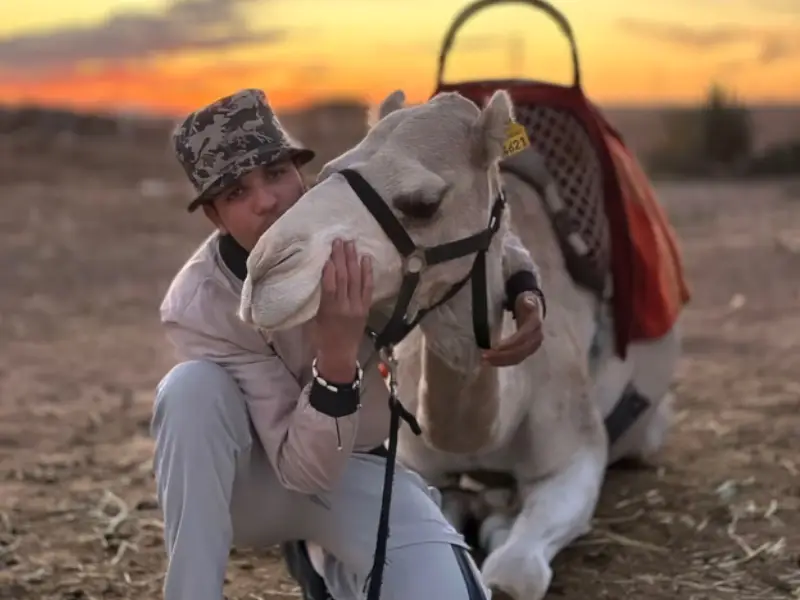 Camel Ride Marrakech