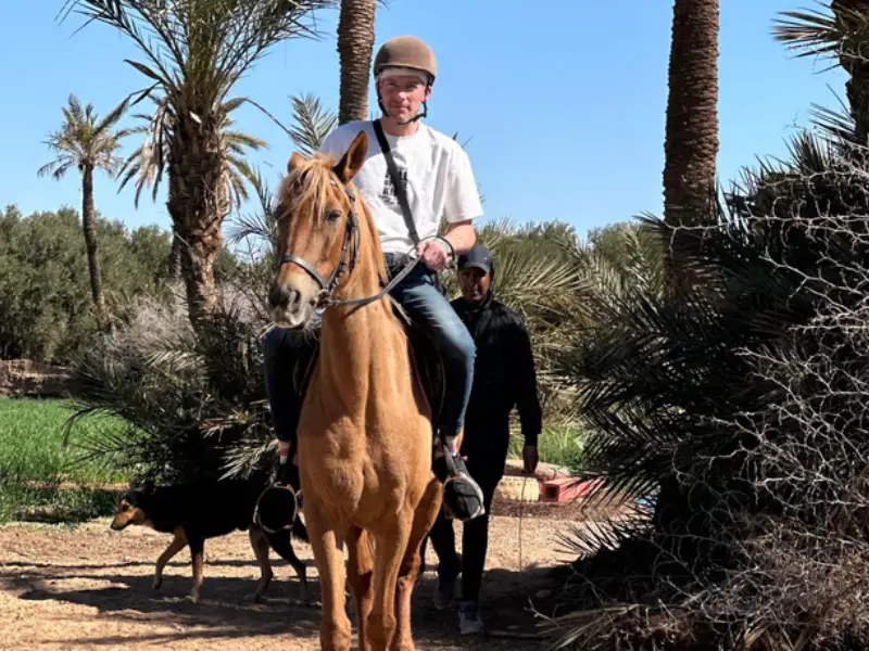 Horse Ride in Marrakech Palm Grove