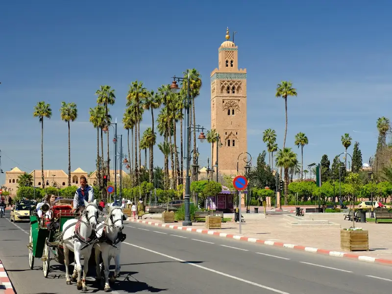 Marrakech City Guide